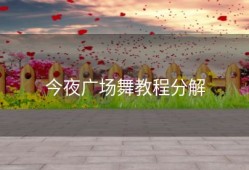今夜广场舞教程分解