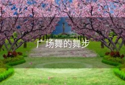 广场舞的舞步