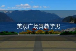 美观广场舞教学男