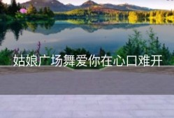 姑娘广场舞爱你在心口难开