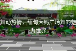 舞动热情，缅甸大妈广场舞的魅力世界