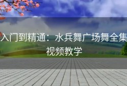 入门到精通：水兵舞广场舞全集视频教学