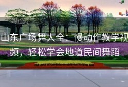 山东广场舞大全：慢动作教学视频，轻松学会地道民间舞蹈