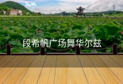 段希帆广场舞华尔兹