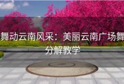 舞动云南风采：美丽云南广场舞分解教学