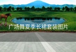 广场舞夏季长裙套装图片