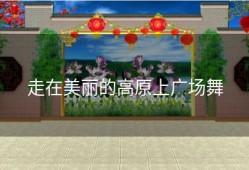 走在美丽的高原上广场舞