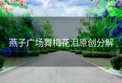 燕子广场舞梅花泪原创分解