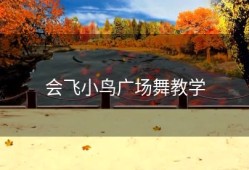 会飞小鸟广场舞教学