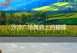 汐汐广场舞肩上的蝴蝶