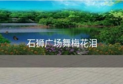 石狮广场舞梅花泪