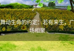 舞动生命的约定：若有来生，广场相聚
