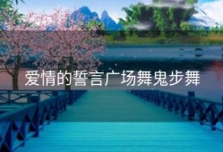爱情的誓言广场舞鬼步舞