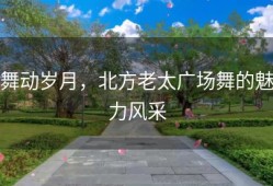 舞动岁月，北方老太广场舞的魅力风采