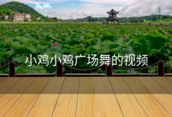 小鸡小鸡广场舞的视频