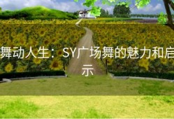 舞动人生：SY广场舞的魅力和启示