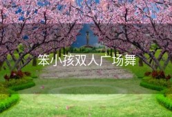 笨小孩双人广场舞