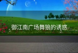 御江南广场舞狼的诱惑