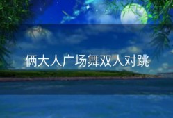 俩大人广场舞双人对跳