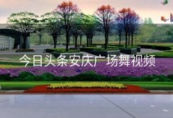 今日头条安庆广场舞视频