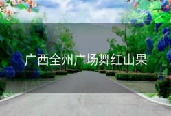 广西全州广场舞红山果