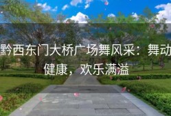 黔西东门大桥广场舞风采：舞动健康，欢乐满溢