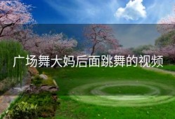 广场舞大妈后面跳舞的视频