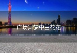 广场舞梦中兰花花