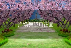 广场舞望月正面