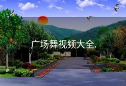 广场舞视频大全.