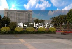 糖豆广场舞子龙