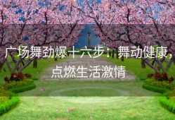 广场舞劲爆十六步：舞动健康，点燃生活激情