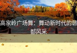 高家岭广场舞：舞动新时代的赣鄱风采