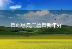 舞蹈经典广场舞新年好