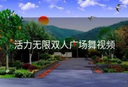 活力无限双人广场舞视频