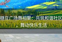 糖豆广场舞相聚：共筑和谐社区，舞动快乐生活