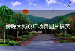傍晚大妈跳广场舞图片搞笑