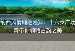 纳西风情翩翩起舞：十六步广场舞带你领略古韵之美