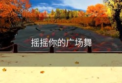 摇摇你的广场舞