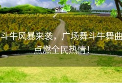 斗牛风暴来袭，广场舞斗牛舞曲点燃全民热情！