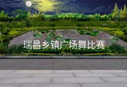 瑞昌乡镇广场舞比赛