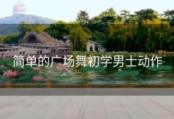 简单的广场舞初学男士动作