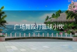 广场舞殴打篮球小伙