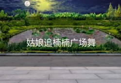 姑娘追楠楠广场舞