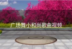 广场舞小和尚歌曲视频