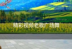 精彩视频老歌广场舞