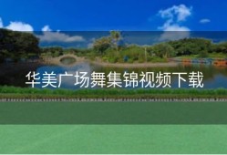 华美广场舞集锦视频下载