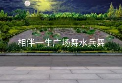 相伴一生广场舞水兵舞