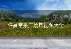 许昌帝豪广场舞视频大全