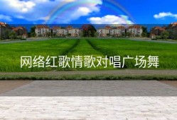 网络红歌情歌对唱广场舞